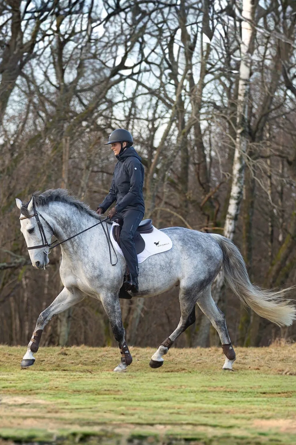 Stierna Equestrian Stierna|Jackor & Kappor-tor Regnjacka