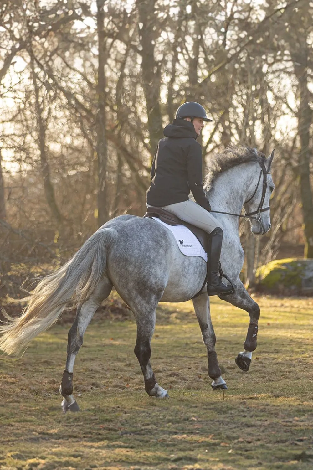 Stierna Equestrian Stierna|Jackor & Kappor-tor Regnjacka