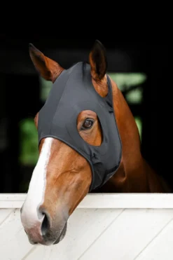 Horseware Horseware-Stresshuva Ionic Svart