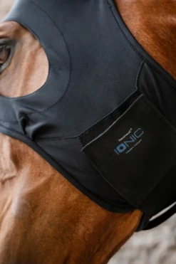 Horseware Horseware-Stresshuva Ionic Svart