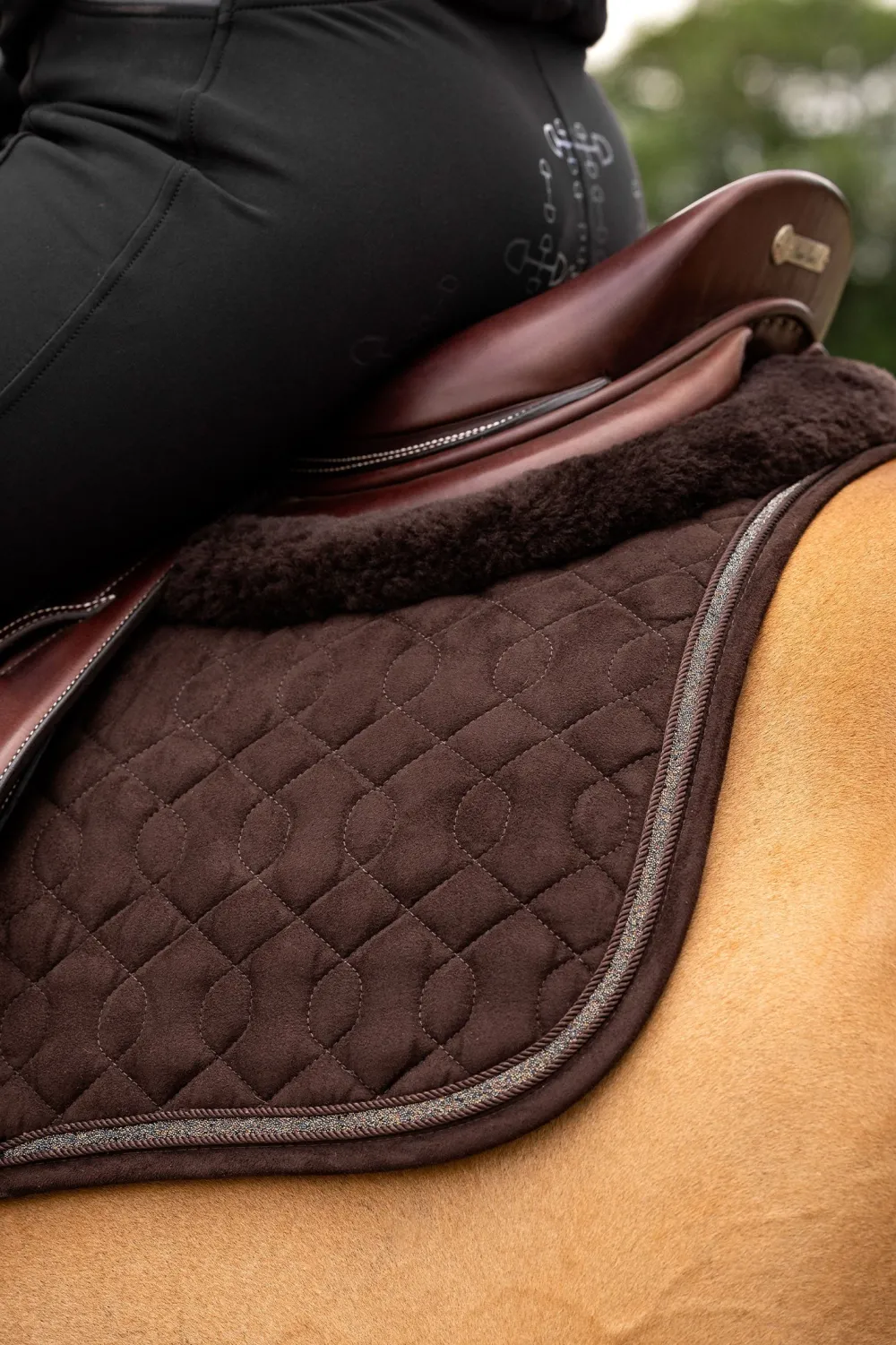 LeMieux Schabrak & Huvor|Lemieux-Suede Crysta Hoppschabrak