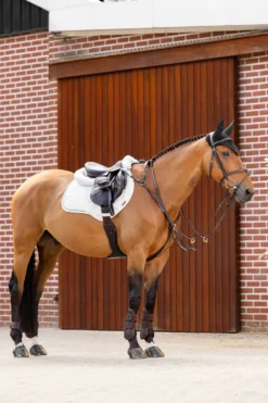 LeMieux Schabrak & Huvor|Lemieux-Suede Crysta Hoppschabrak