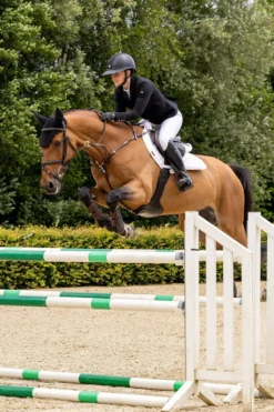 LeMieux Schabrak & Huvor|Lemieux-Suede Crysta Hoppschabrak