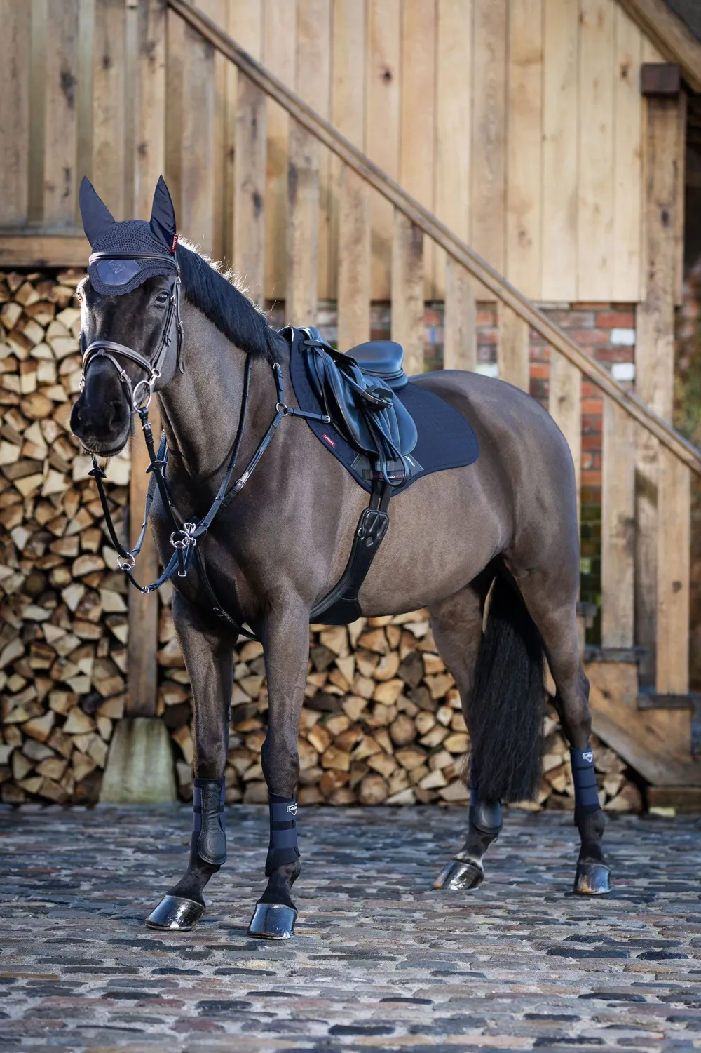LeMieux Schabrak & Huvor|Lemieux-Suede Hoppschabrak Navy