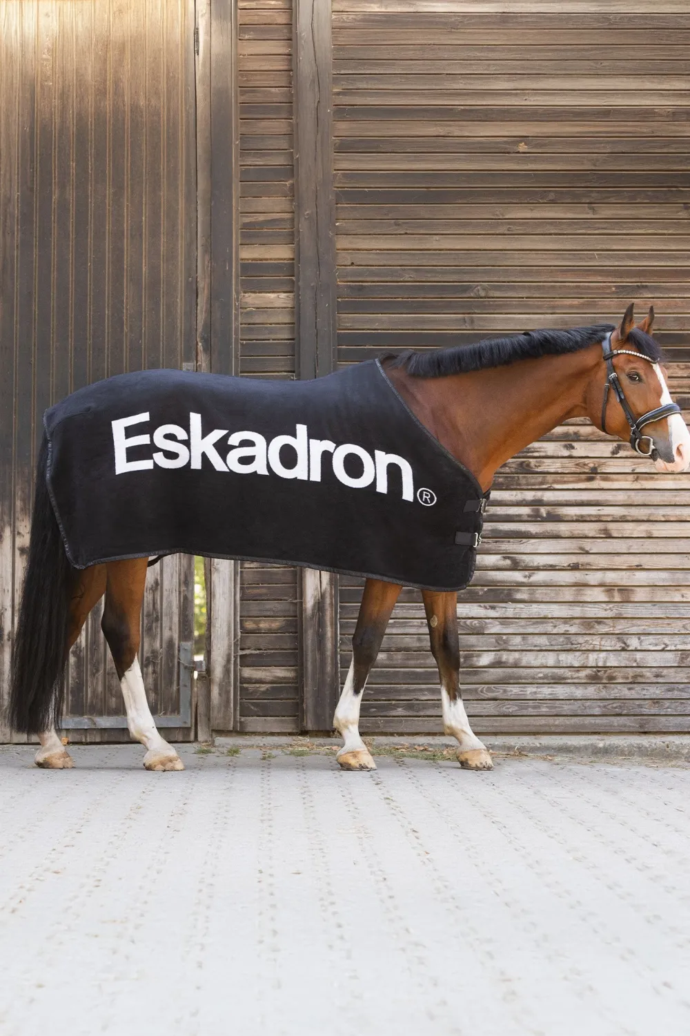 Eskadron Eskadron-Svettäcke Core Draon Svart/Anthracit/Vit