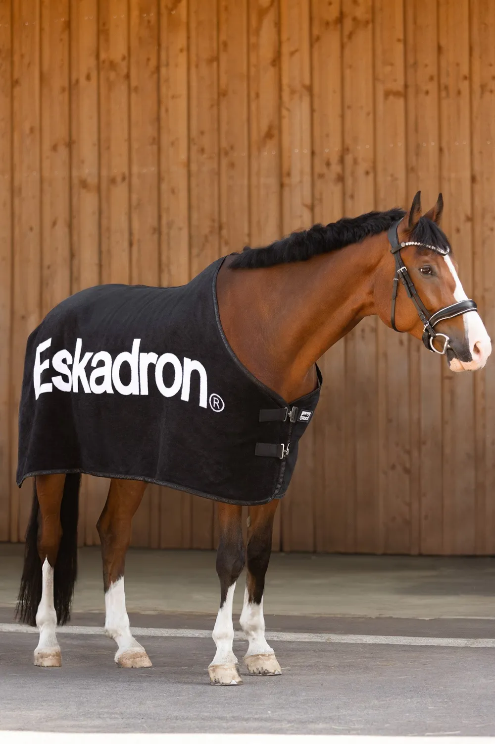 Eskadron Eskadron-Svettäcke Core Draon Svart/Anthracit/Vit