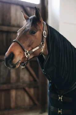 Kentucky Horsewear Hästtäcken & Flughuvor-Svettäcke Handduk Svart
