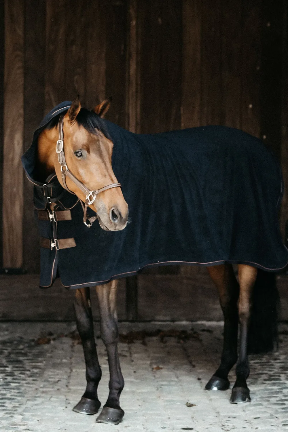 Kentucky Horsewear Hästtäcken & Flughuvor-Svettäcke Handduk Svart