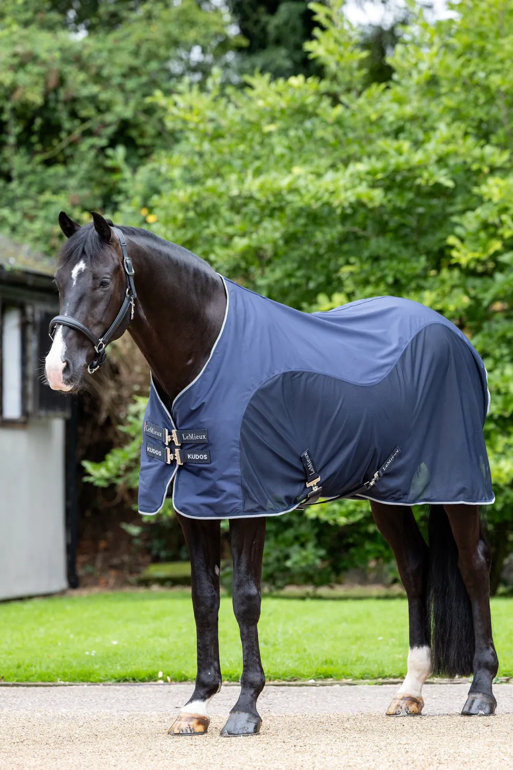 LeMieux Hästtäcken & Flughuvor|Lemieux-Svettäcke Hybrid Kudos Navy