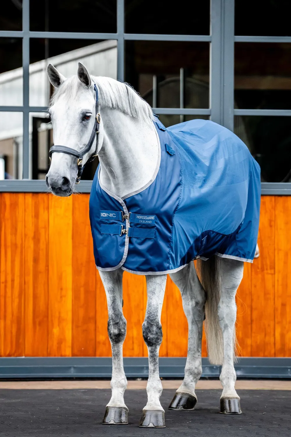 Horseware Hästtäcken & Flughuvor|Horseware-Svettäcke Ionic Imperial Blue/Silver