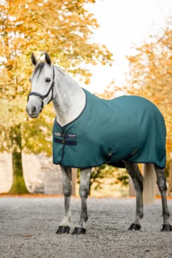 Horseware Hästtäcken & Flughuvor|Horseware-Svettäcke Rambo Techni Waffle Cooler DynGreen/Navy