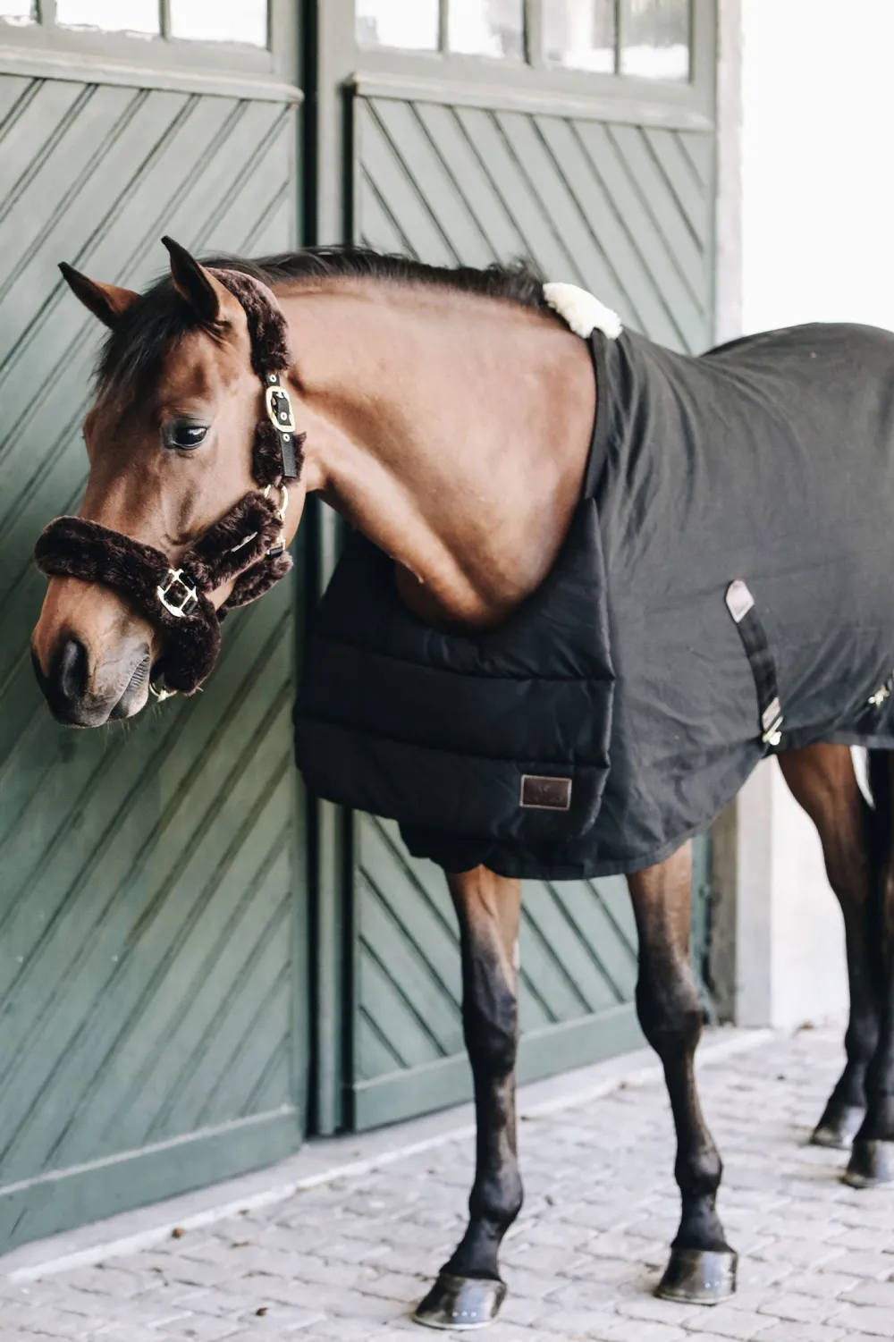 Kentucky Horsewear Hästtäcken & Flughuvor-Täckesbib Sommar Svart