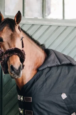 Kentucky Horsewear Hästtäcken & Flughuvor-Täckesbib Sommar Svart