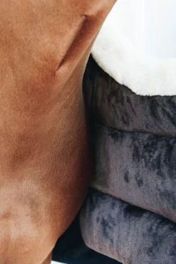 Kentucky Horsewear Hästtäcken & Flughuvor-Täckesbib Vinter Svart