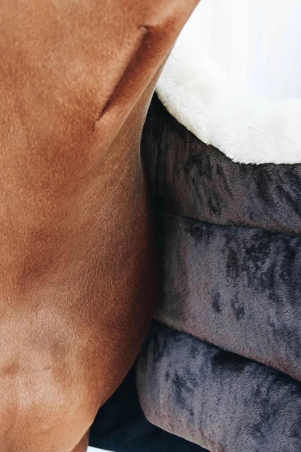 Kentucky Horsewear Hästtäcken & Flughuvor-Täckesbib Vinter Svart