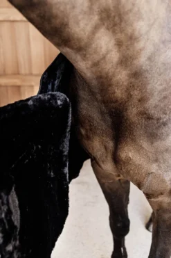 Kentucky Horsewear Hästtäcken & Flughuvor|Kentucky Horsewear-Täckesförängare Svart