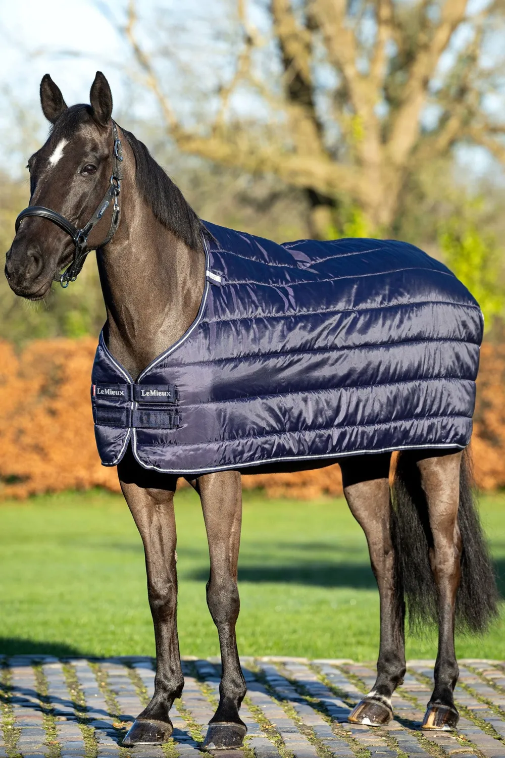 LeMieux Lemieux-Täckesliner 50g Navy