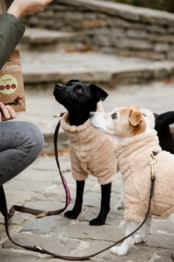 Kentucky Dogwear Kentucky Dogwear-Teddy Fleece Hundtröja