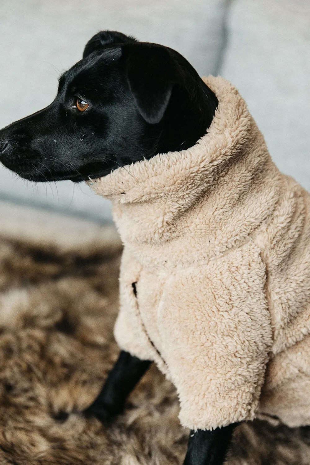 Kentucky Dogwear Kentucky Dogwear-Teddy Fleece Hundtröja