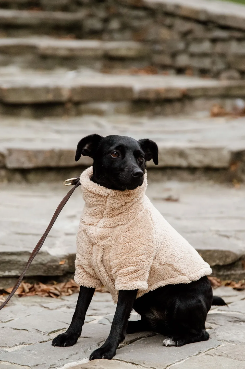 Kentucky Dogwear Kentucky Dogwear-Teddy Fleece Hundtröja