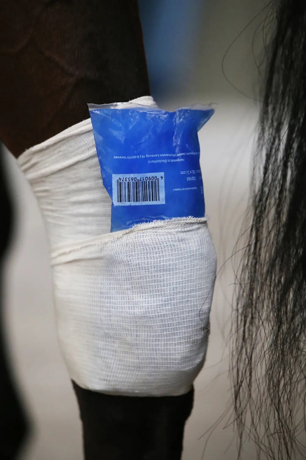 Kentucky Horsewear Skötsel & Hästvård-Tendon Grip Linda
