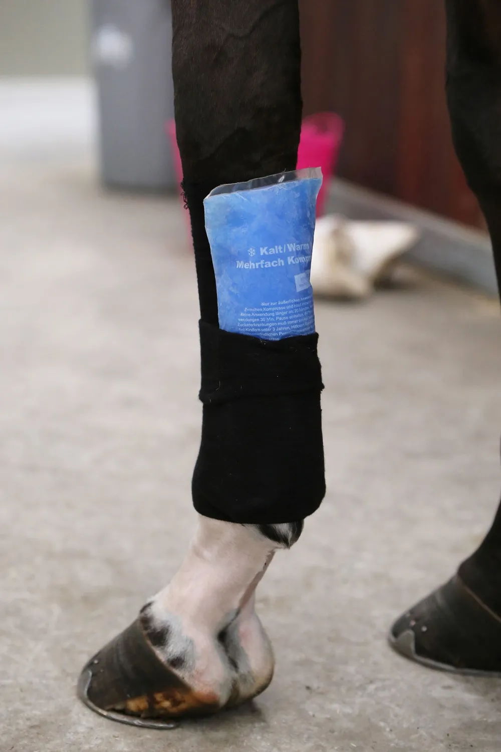 Kentucky Horsewear Skötsel & Hästvård-Tendon Grip Linda