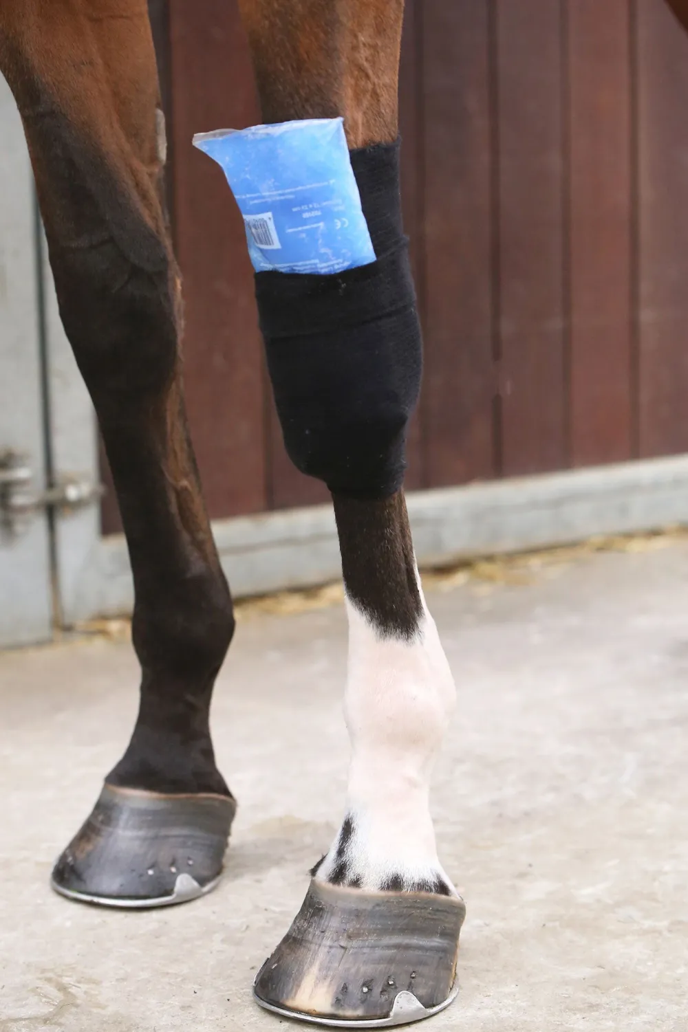 Kentucky Horsewear Skötsel & Hästvård-Tendon Grip Linda