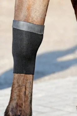 Kentucky Horsewear Skötsel & Hästvård-Tendon Grip Strumpa Gel