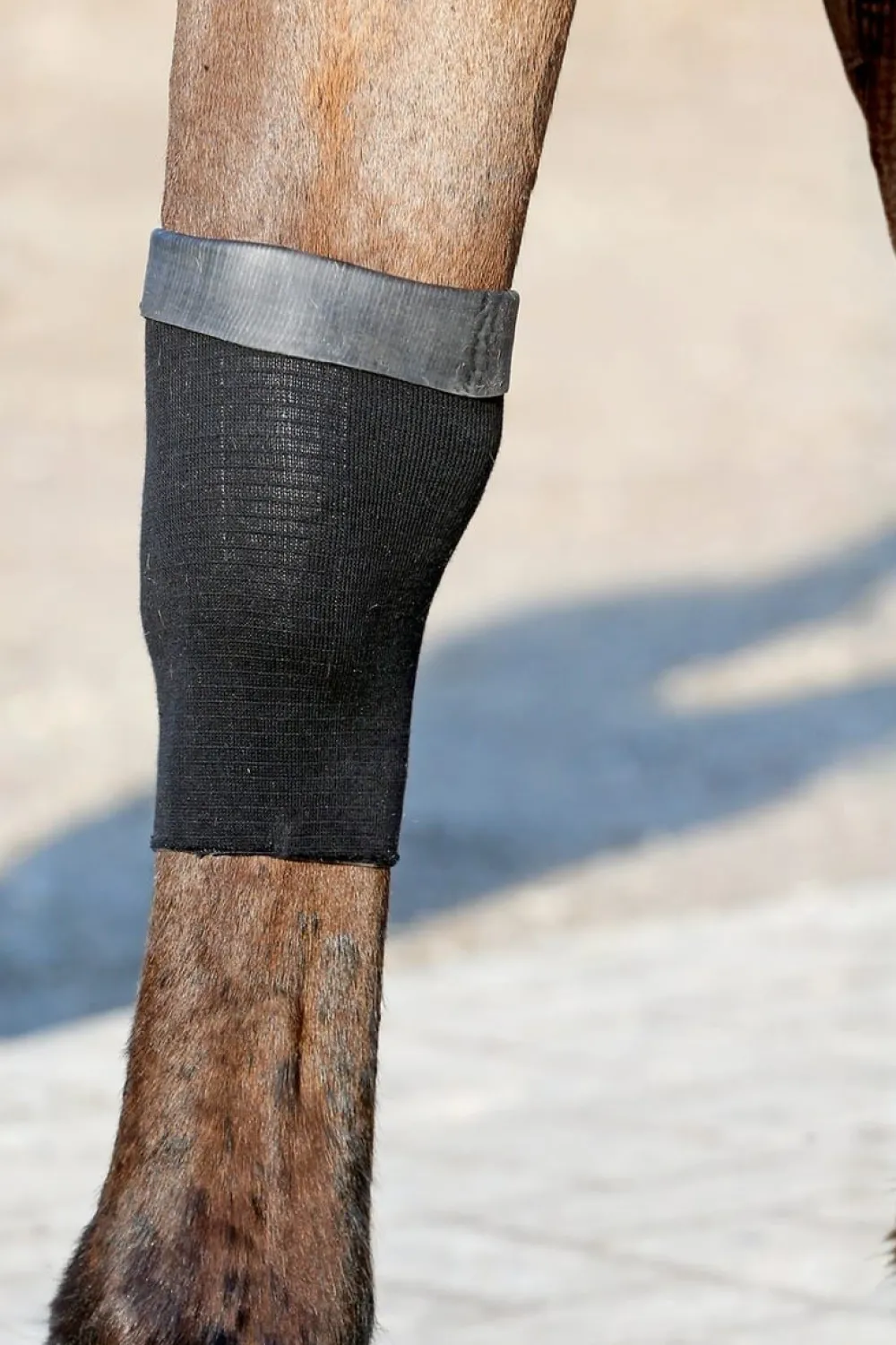 Kentucky Horsewear Skötsel & Hästvård-Tendon Grip Strumpa Gel
