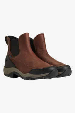 Ariat Ridskor|Ariat-Terrain Blaze H2O Sko Brun