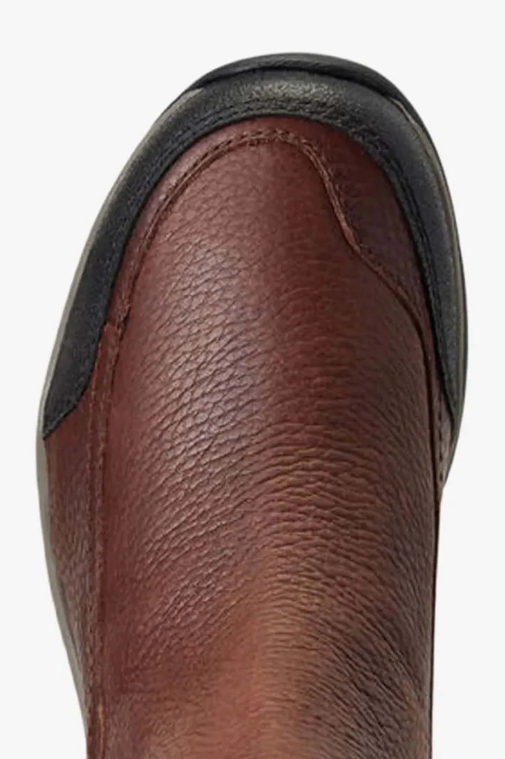 Ariat Ridskor|Ariat-Terrain Blaze H2O Sko Brun