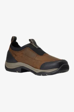 Ariat Vinterskor|Ridskor-Terrain Ease Vattentät Sko Herr Brun