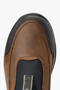 Ariat Vinterskor|Ridskor-Terrain Ease Vattentät Sko Herr Brun