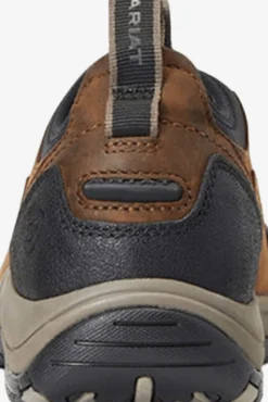 Ariat Vinterskor|Ridskor-Terrain Ease Vattentät Sko Herr Brun