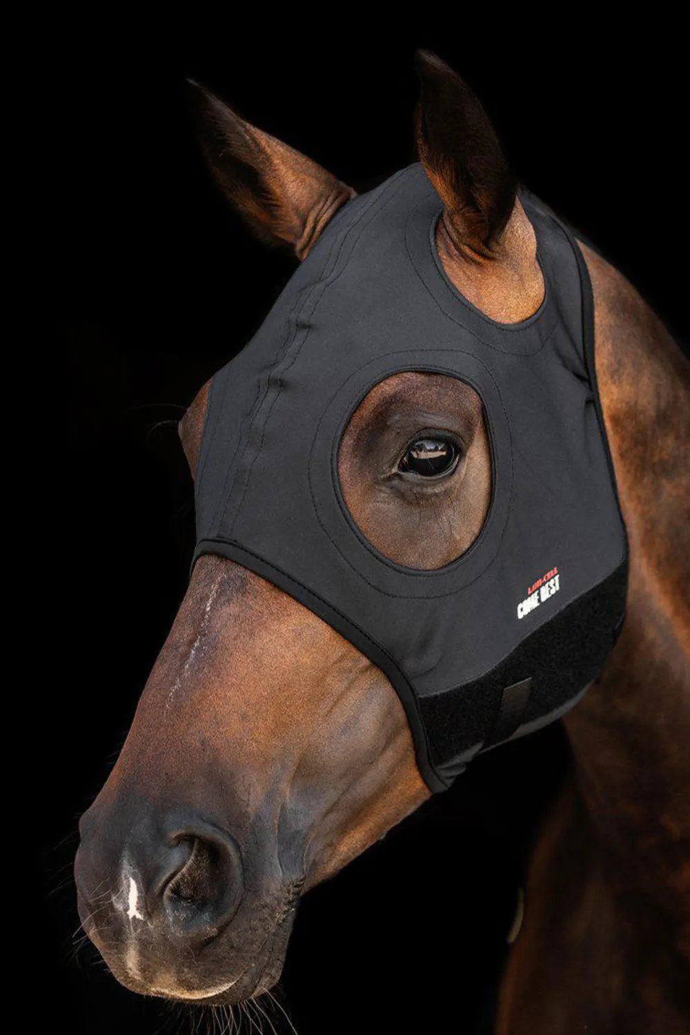 Lami-cell Lami-Cell|Schabrak & Huvor-Titanium Mask Utan Öron Svart