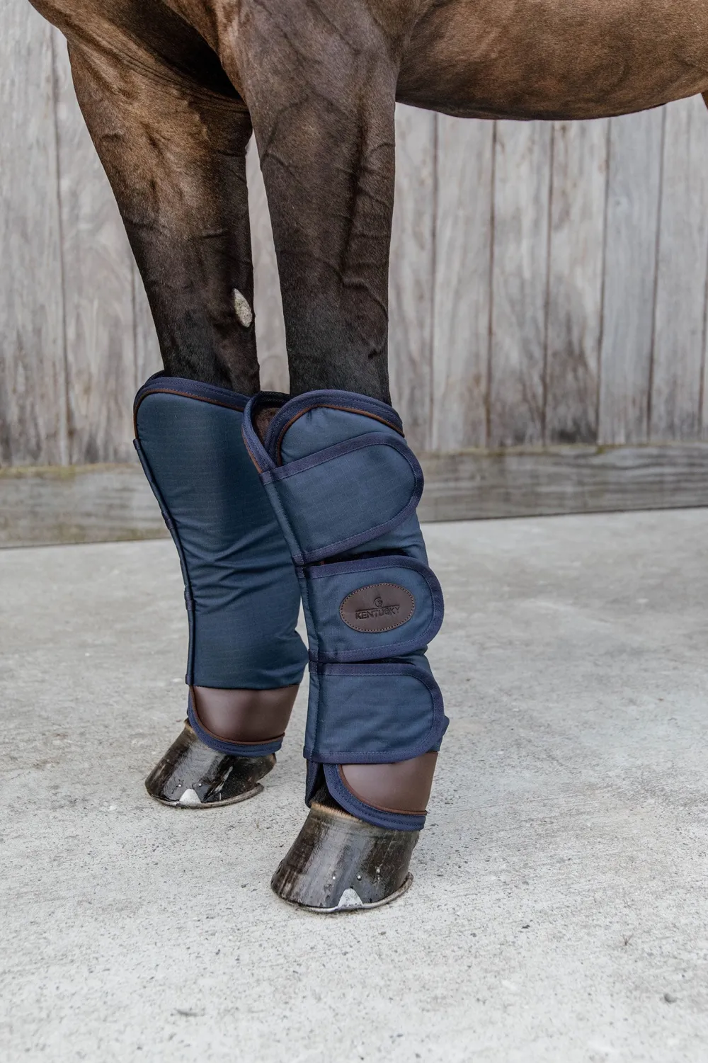 Kentucky Horsewear Benskydd & Benlindor-Transortskydd Navy