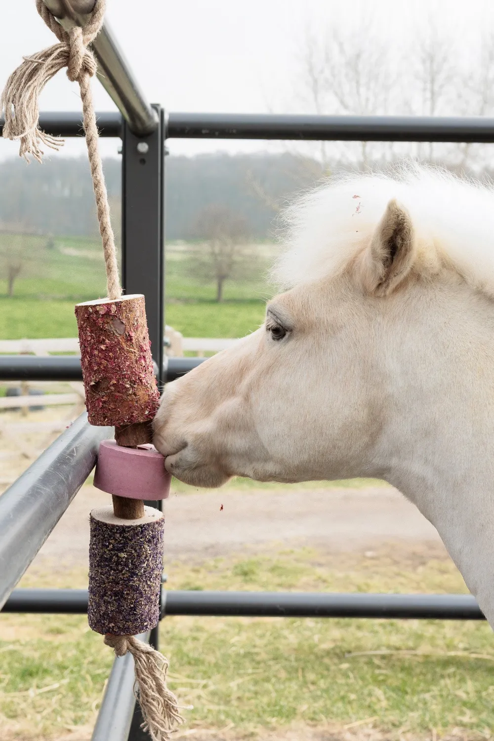 Grooming Deluxe Grooming Deluxe|Hästleksaker & Aktivering-Träleksak Saltsten Sammy Rosa