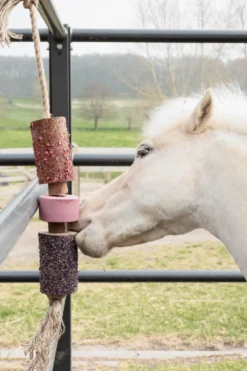 Grooming Deluxe Grooming Deluxe|Hästleksaker & Aktivering-Träleksak Saltsten Sammy Rosa
