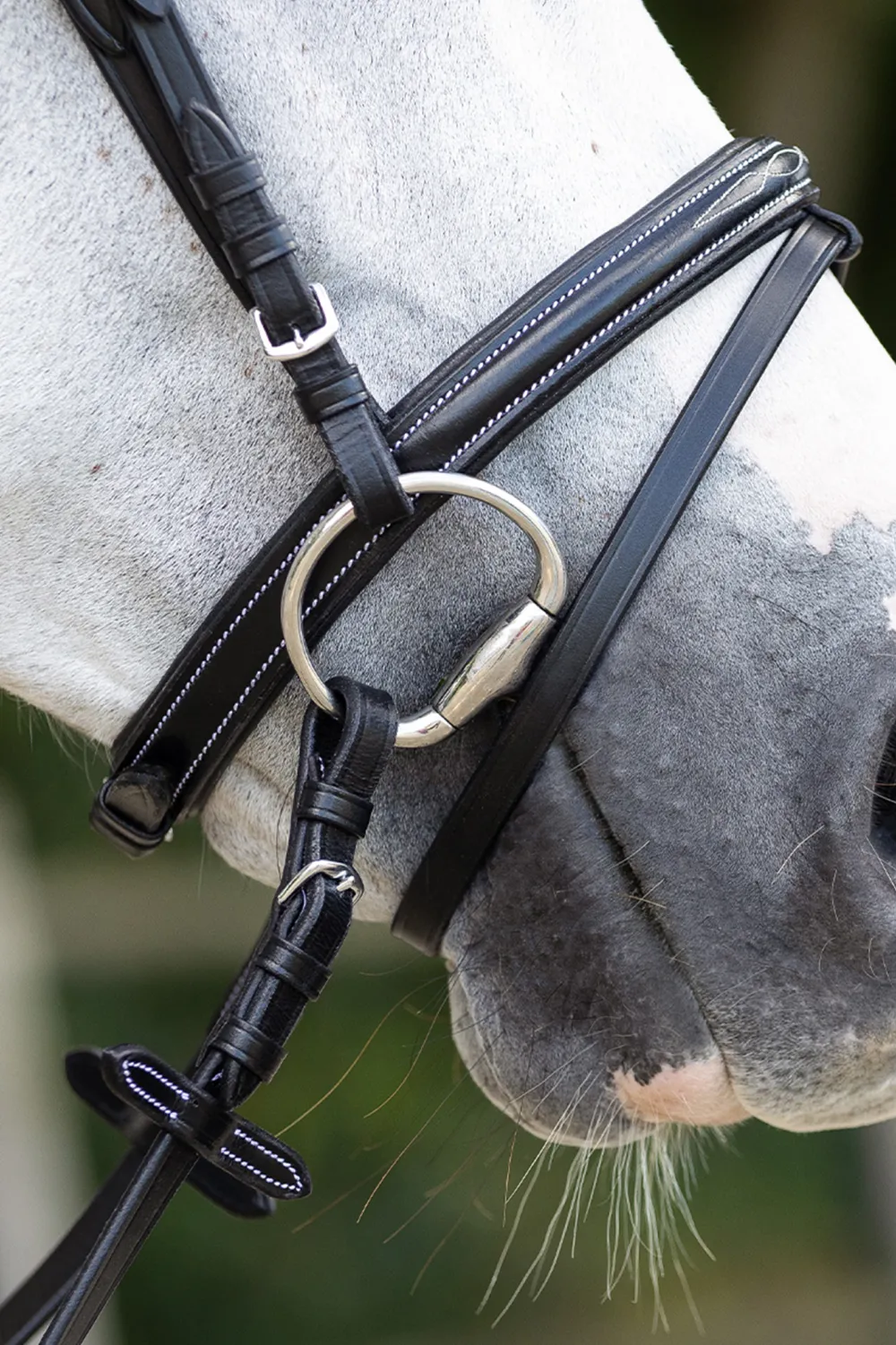 QHP Qhp|Träns & Pannband-Träns luxury stitched Svart