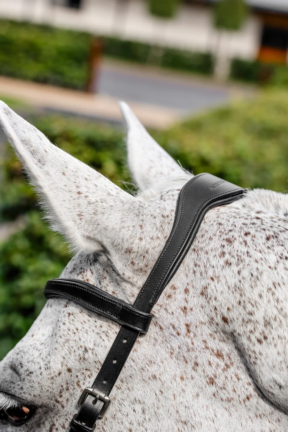 Horseware Träns & Pannband|Horseware-Trän icke Copetition vart
