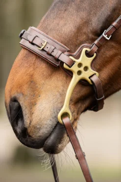 Trust Equestrian Trust Equestrian-Trust Hackamore Brun/Mässing