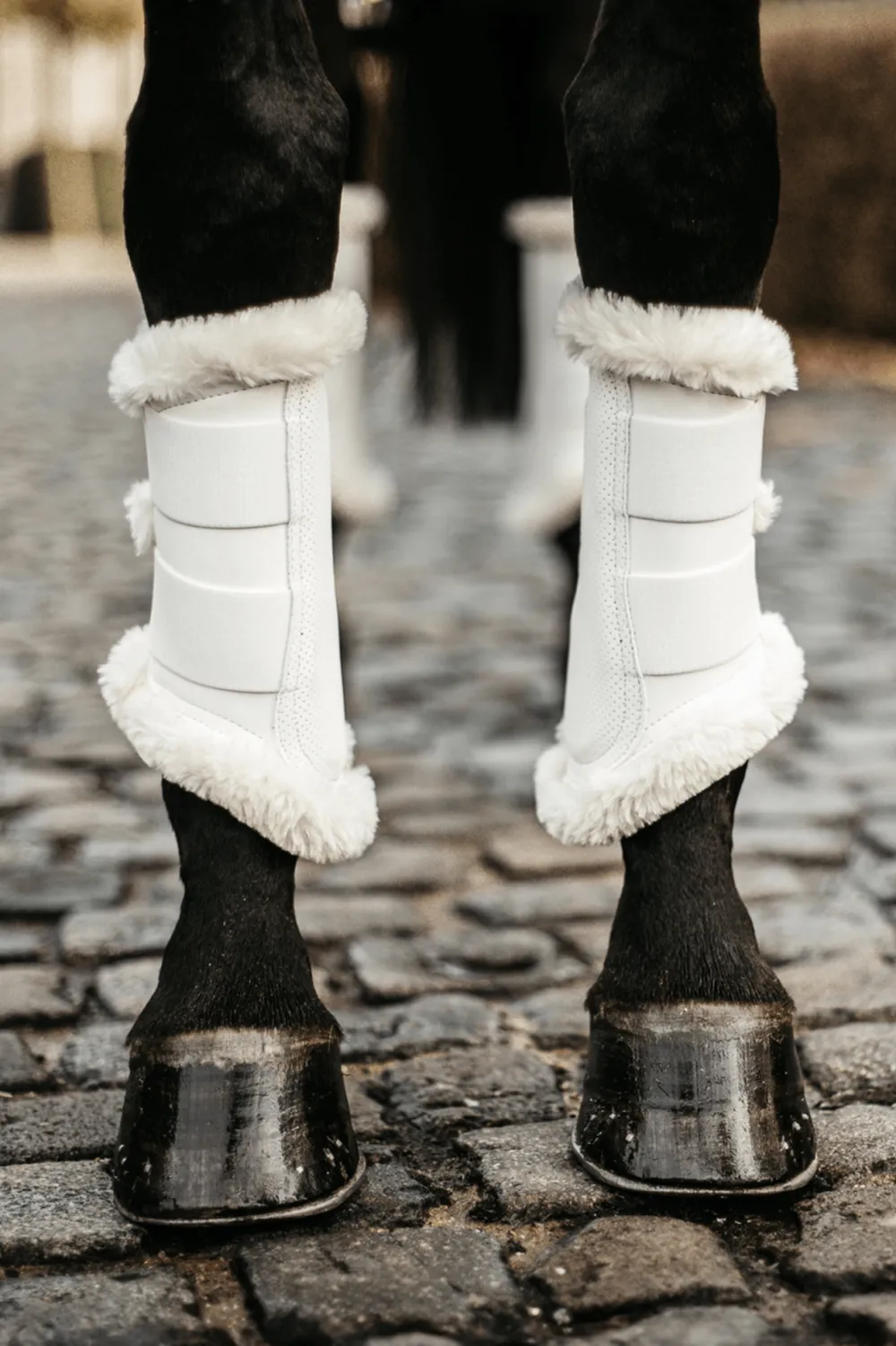 Kentucky Horsewear Benskydd & Benlindor-Turnout Damasker Air Vit