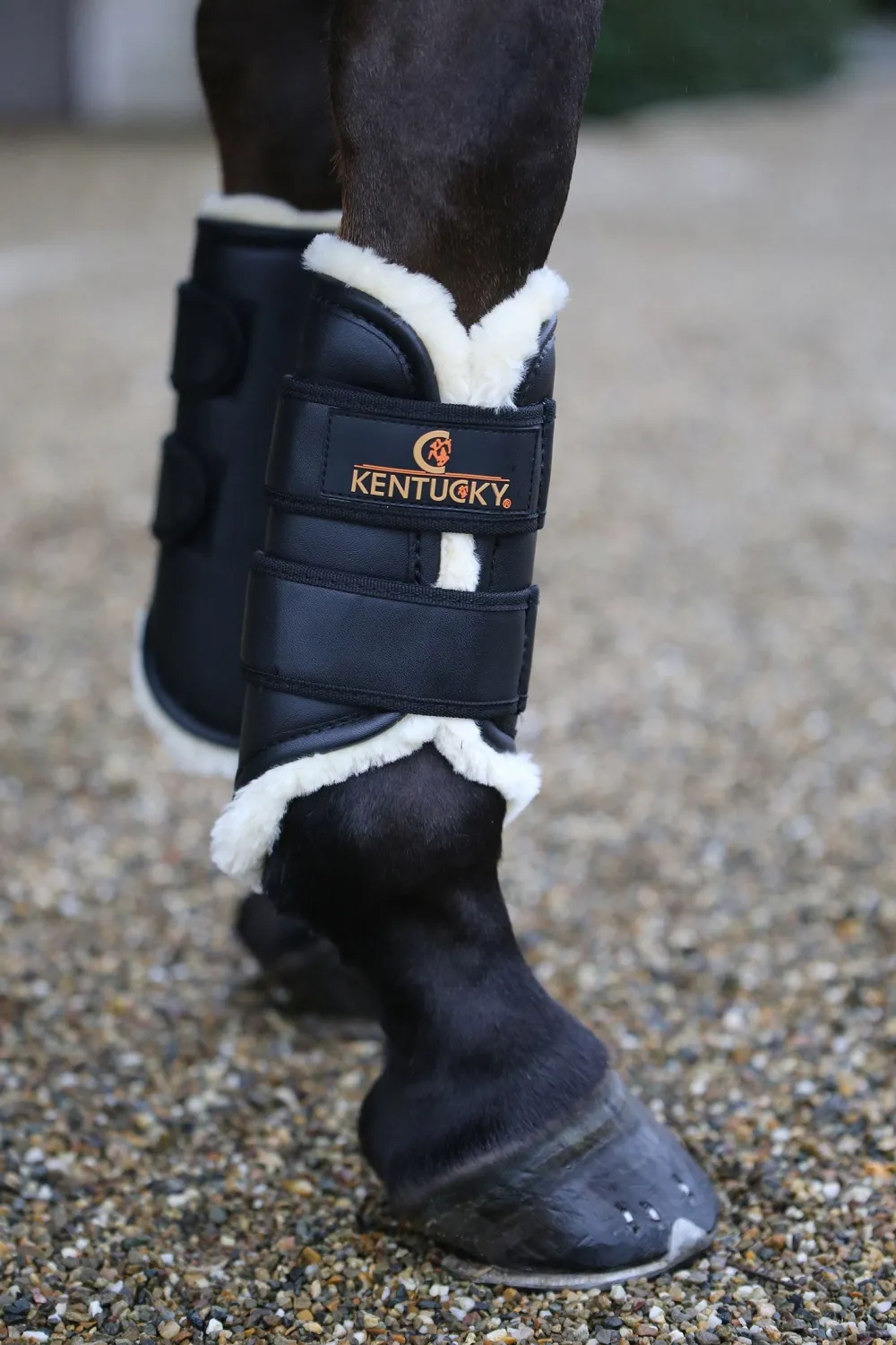 Kentucky Horsewear Benskydd & Benlindor-Turnout Daaker Läder Fra vart