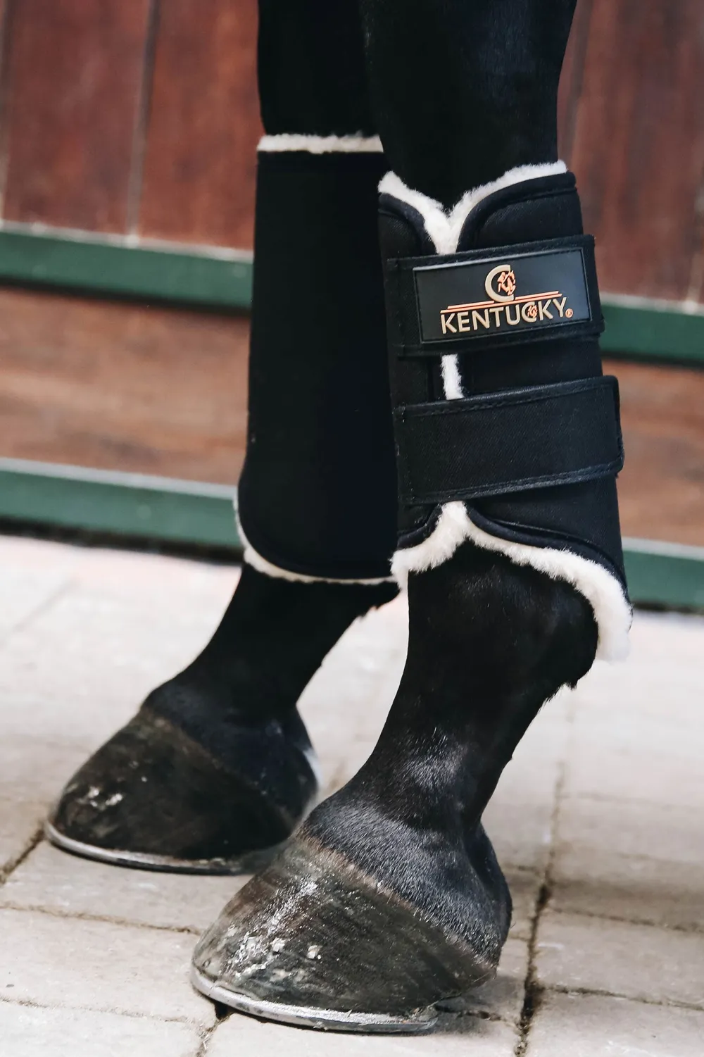 Kentucky Horsewear Kentucky Horsewear|Benskydd & Benlindor-Turnout Damasker Solimbra Fram Svart