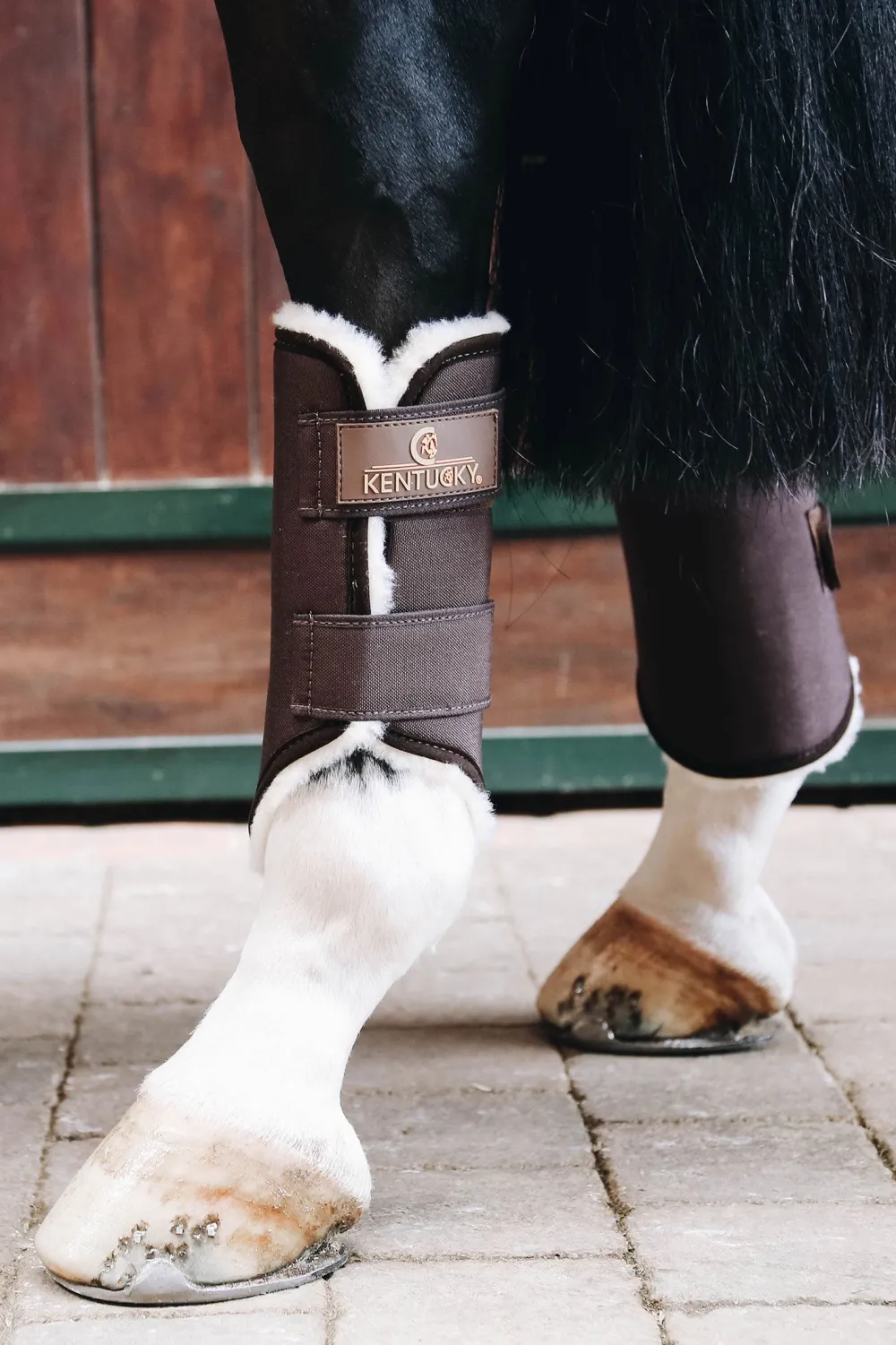 Kentucky Horsewear Benskydd & Benlindor-Turnout Damasker Solimbra Fram Brun