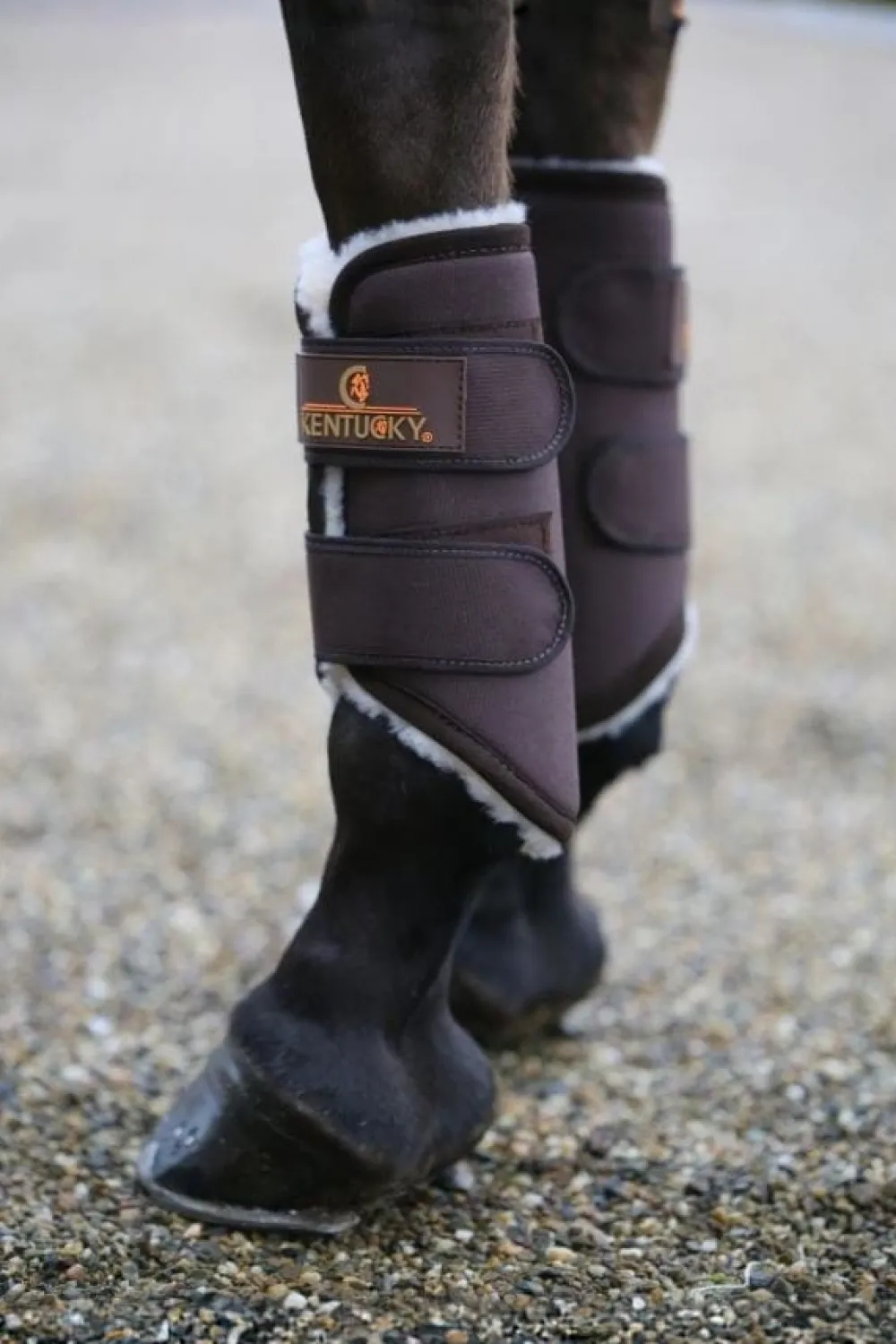 Kentucky Horsewear Benskydd & Benlindor-Turnout Damasker Solimbra Fram Brun