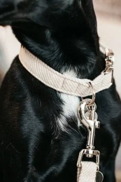 Kentucky Dogwear Kentucky Dogwear-U Hundhaband