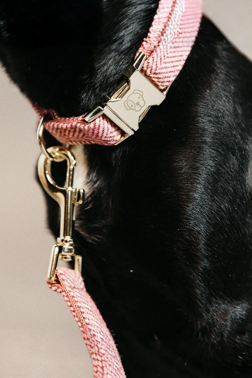 Kentucky Dogwear Kentucky Dogwear-U Hundhaband