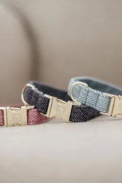 Kentucky Dogwear Kentucky Dogwear-U Hundhaband