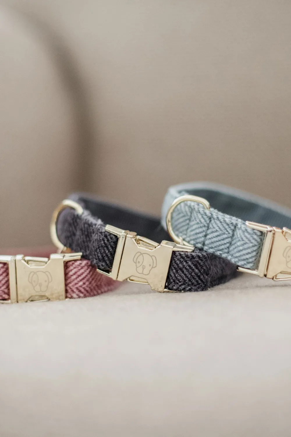 Kentucky Dogwear Kentucky Dogwear-U Hundhaband